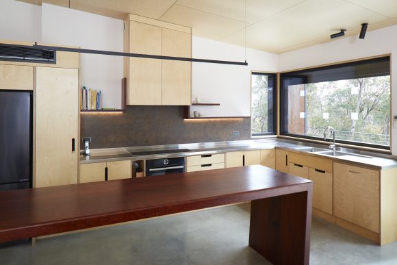 Redgum island bench in plywood kitchen 2