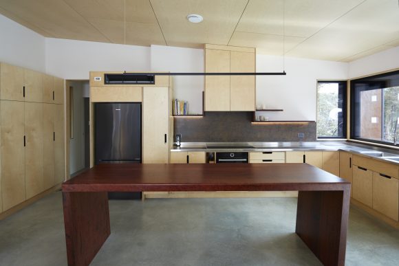 Redgum island bench in plywood kitchen 1